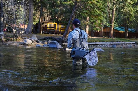 one-day fishing license colorado